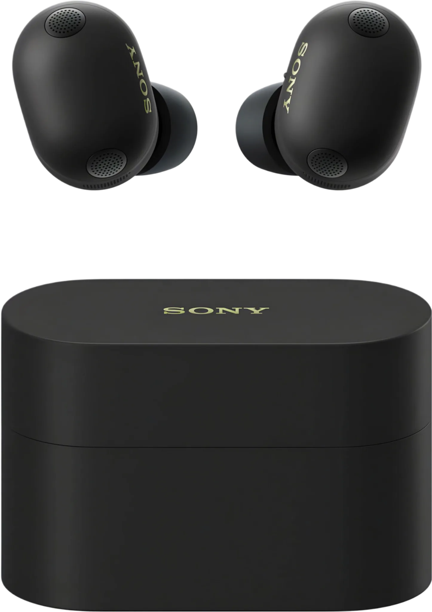 Sony WF-1000XM6
